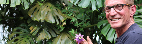 org:/product-category pages/passiflora.jpg